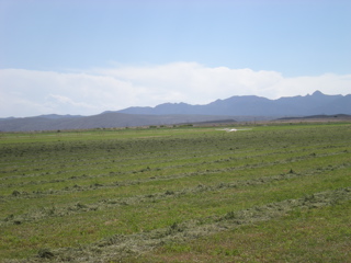6-22-2008 16:21